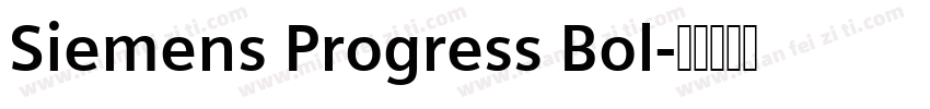 Siemens Progress Bol字体转换